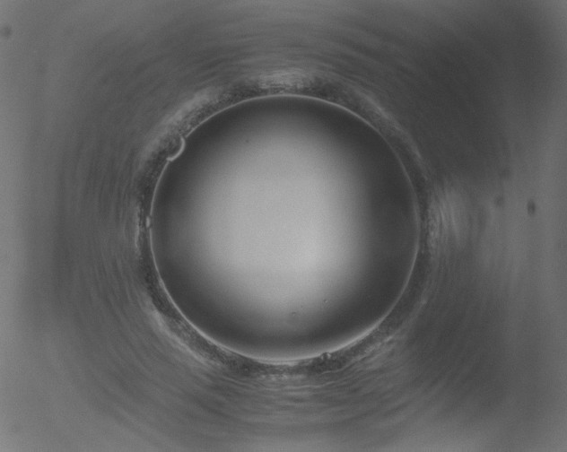 X0000052550637200507011131