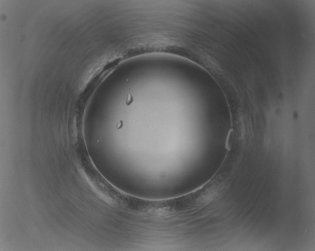 X0000052550638200507011131