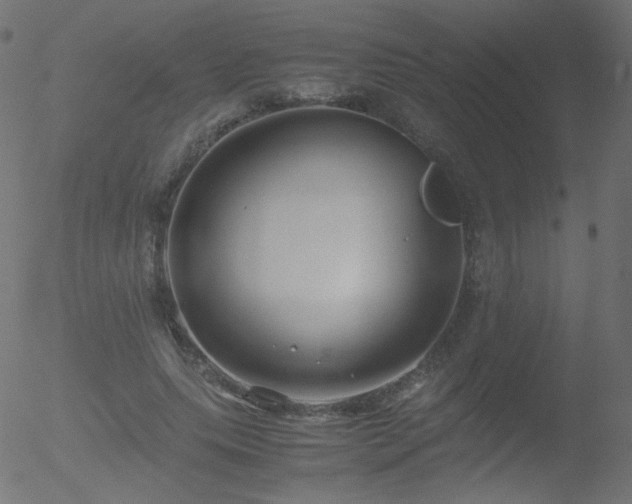 X0000052550639200507011131