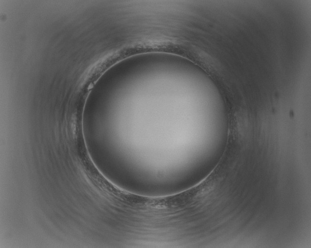 X0000052550640200507011131