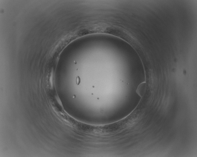 X0000052550641200507011131