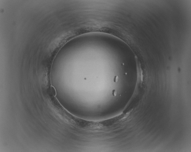 X0000052550642200507011131