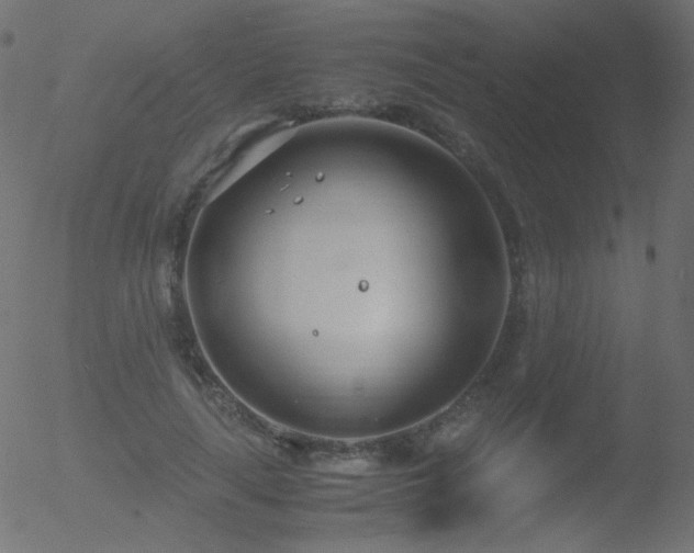 X0000052550643200507011131