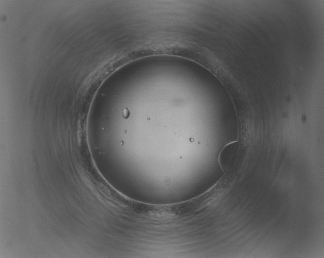 X0000052550644200507011131