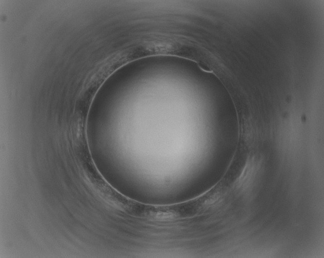 X0000052550645200507011131