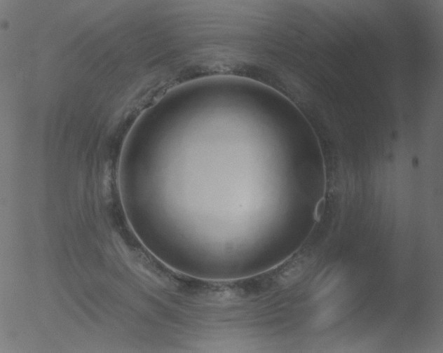 X0000052550646200507011131