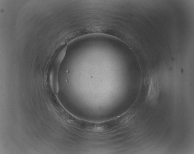 X0000052550647200507011131