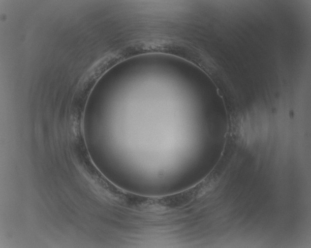 X0000052550648200507011131