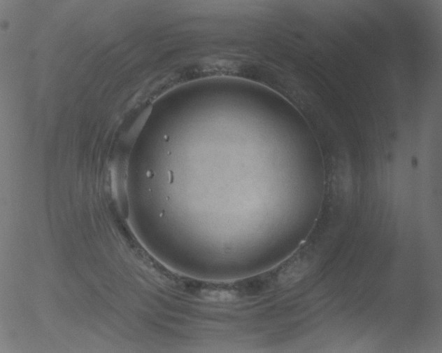 X0000052550649200507011131