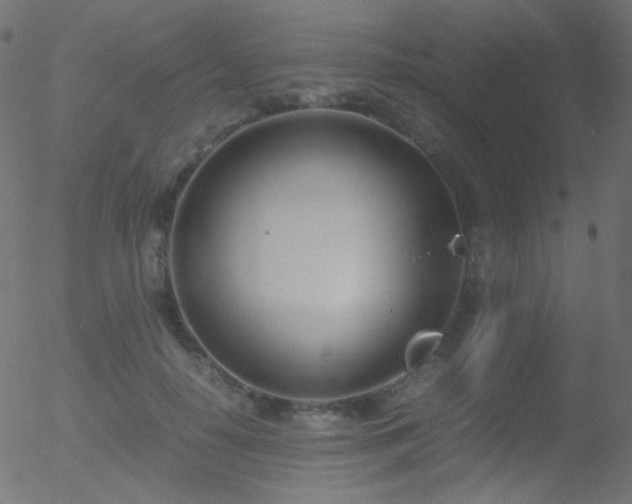 X0000052550650200507011131