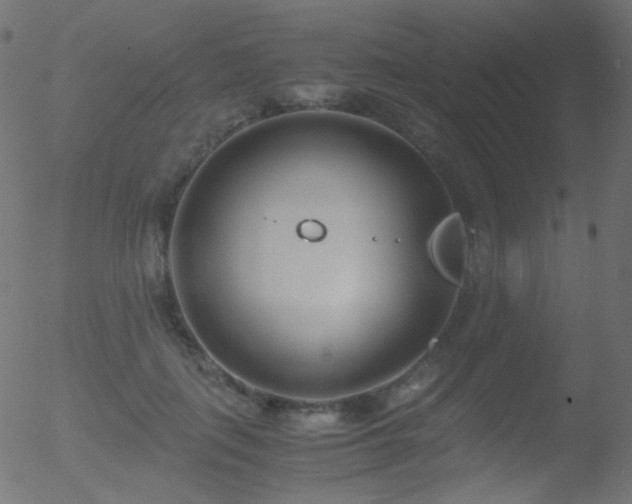 X0000052550651200507011131