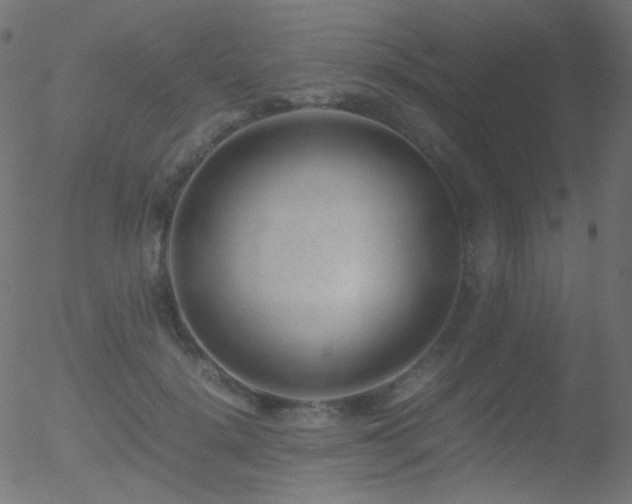 X0000052550652200507011131