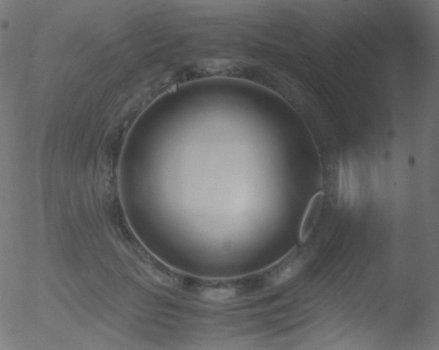 X0000052550653200507011131