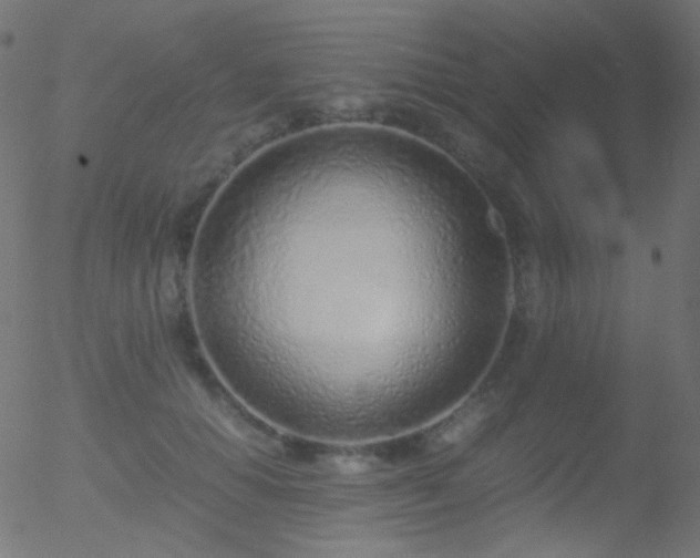 X0000052550654200507011131