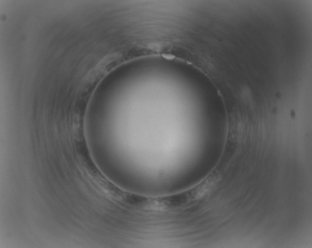 X0000052550656200507011131