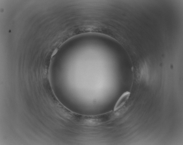 X0000052550657200507011131