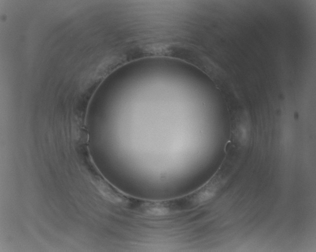 X0000052550658200507011131