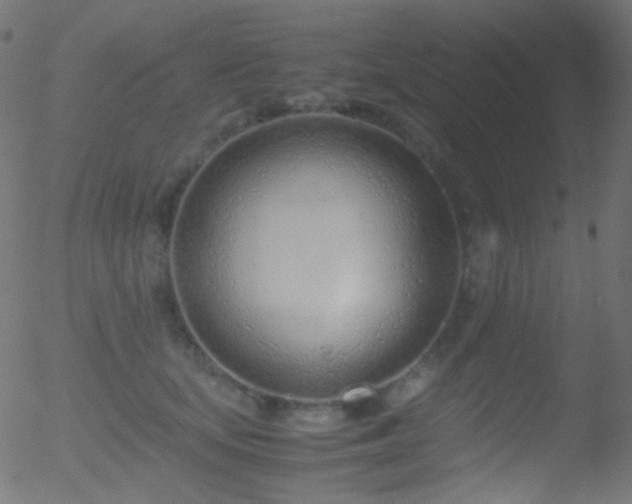 X0000052550659200507011132