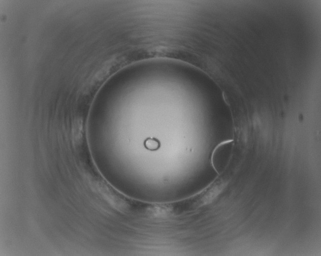 X0000052550660200507011132