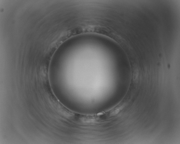 X0000052550661200507011132