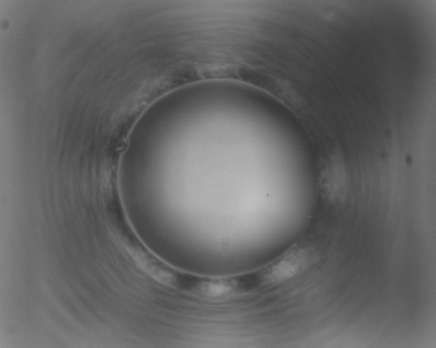 X0000052550662200507011132