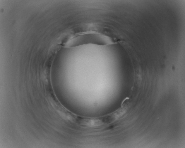 X0000052550663200507011132