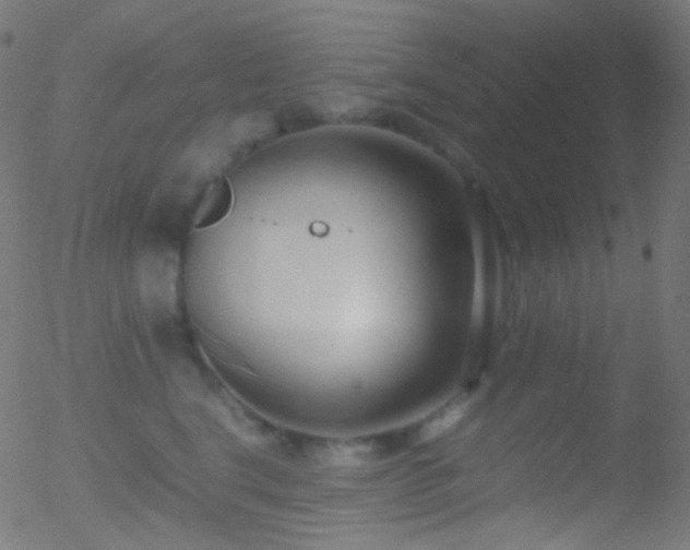 X0000052550664200507011132