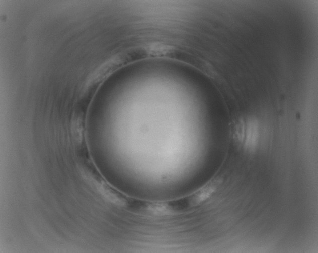 X0000052550666200507011132