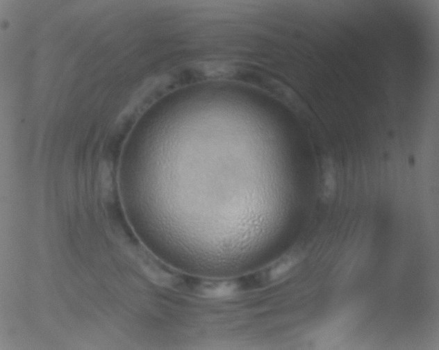 X0000052550667200507011132