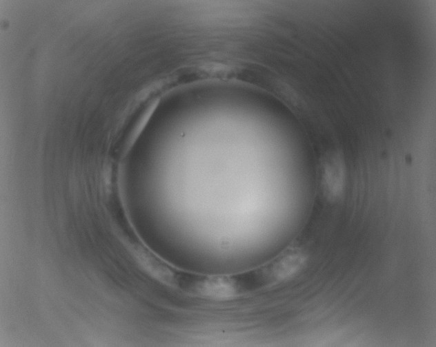 X0000052550668200507011132