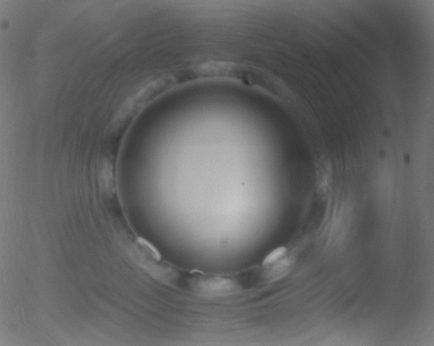 X0000052550669200507011132