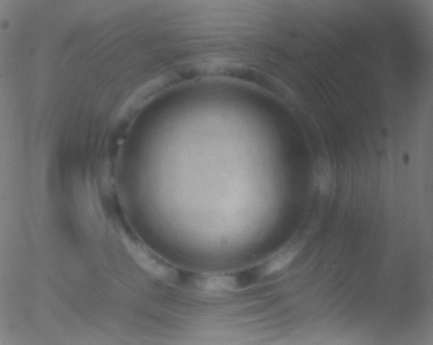 X0000052550670200507011132