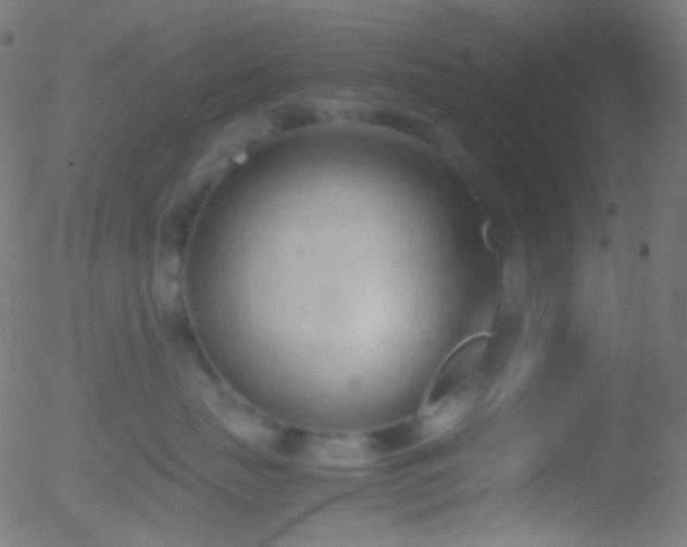 X0000052550671200507011132