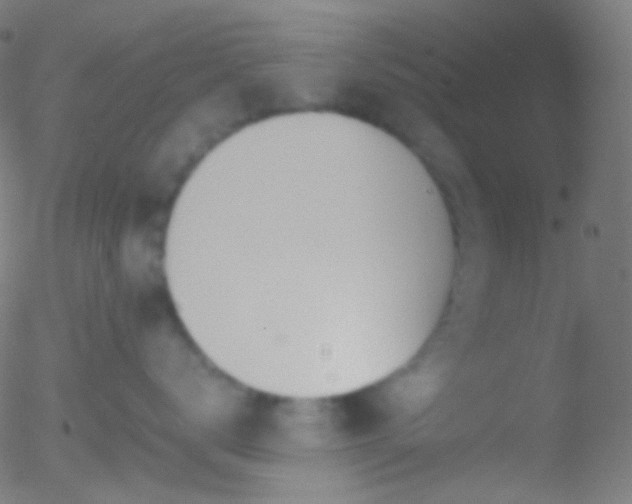 X0000052550672200507011132