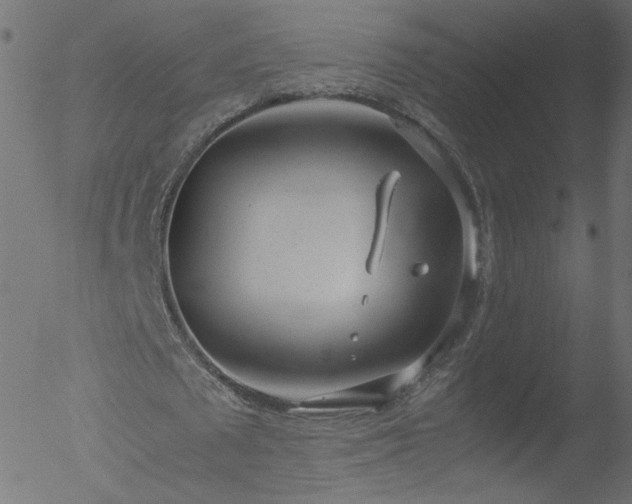 X0000052550673200507011131