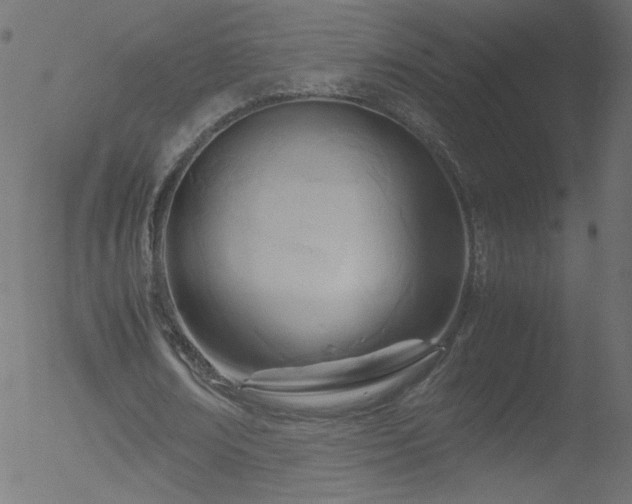 X0000052550674200507011131