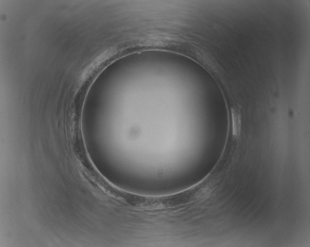 X0000052550675200507011131