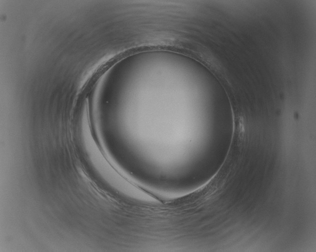 X0000052550676200507011131