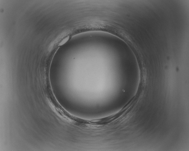 X0000052550677200507011131