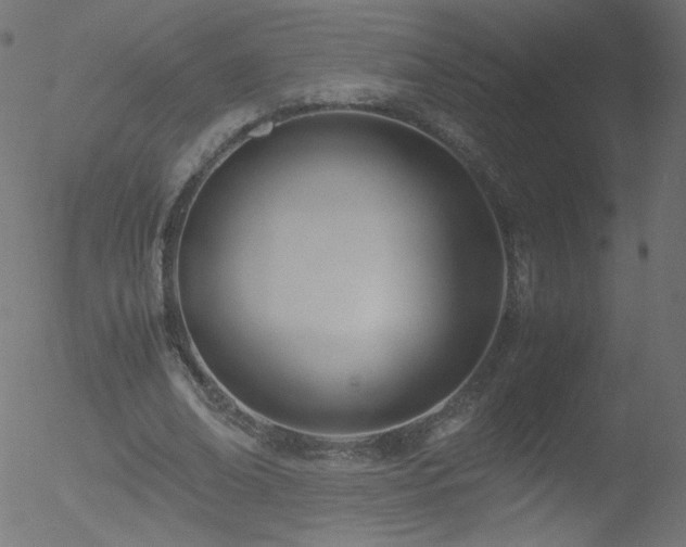 X0000052550678200507011131