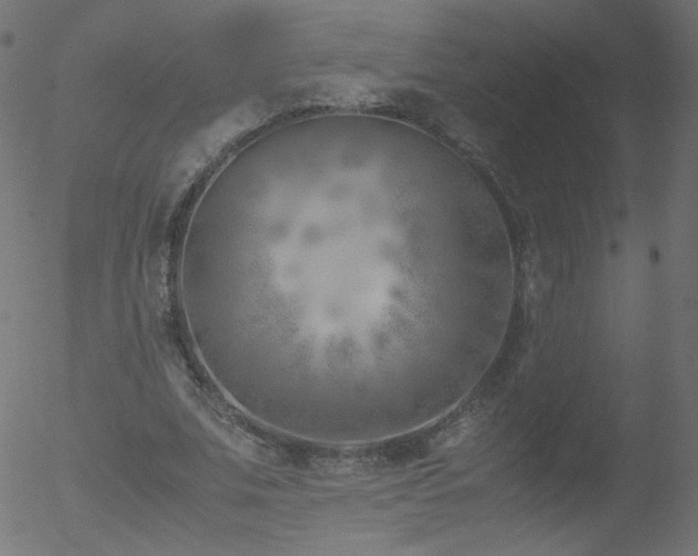 X0000052550679200507011131