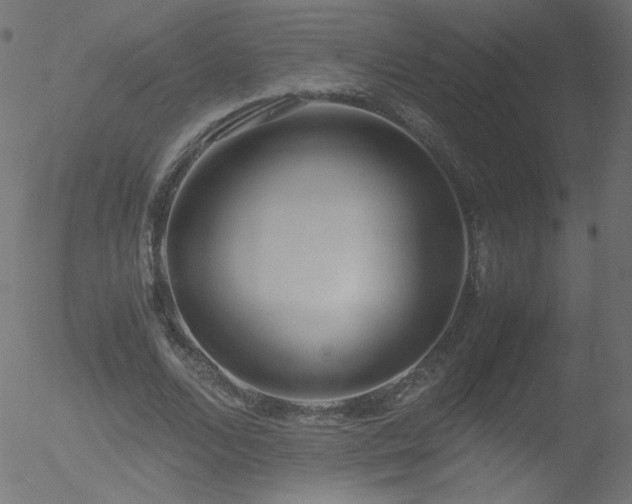 X0000052550680200507011131