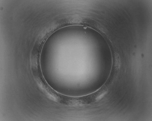 X0000052550681200507011131