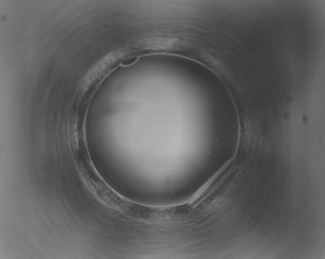 X0000052550682200507011131