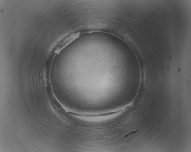 X0000052550684200507011131