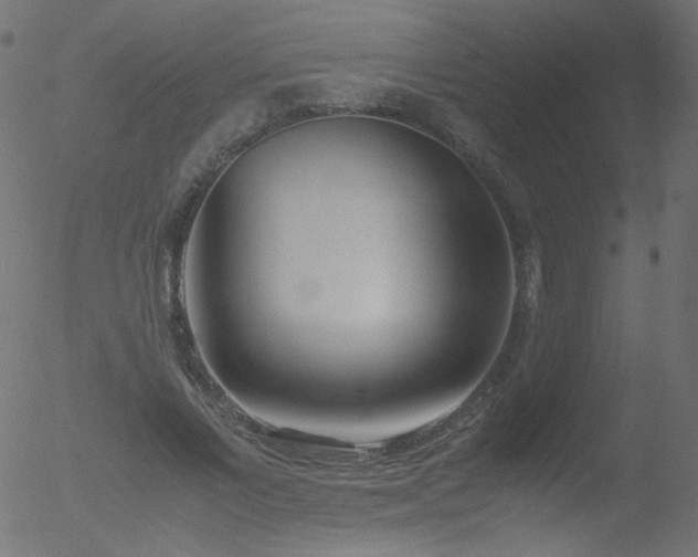 X0000052550685200507011131