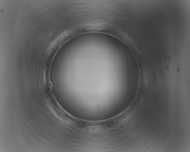 X0000052550686200507011131