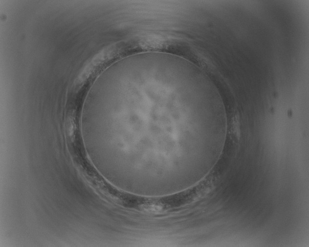 X0000052550687200507011131