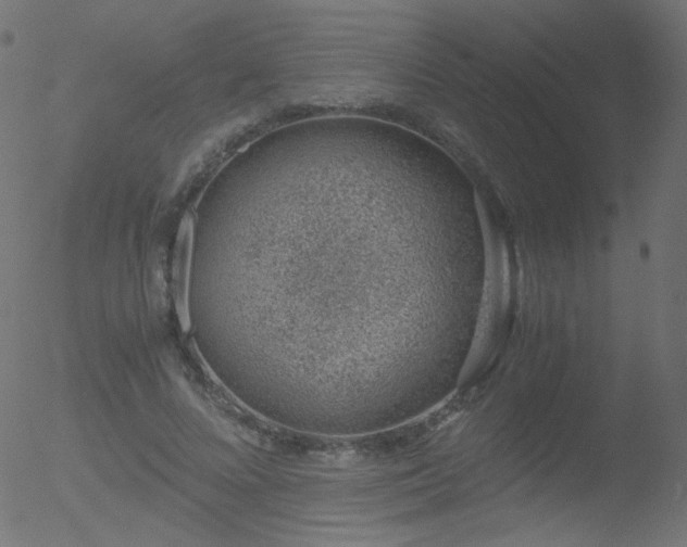 X0000052550688200507011131