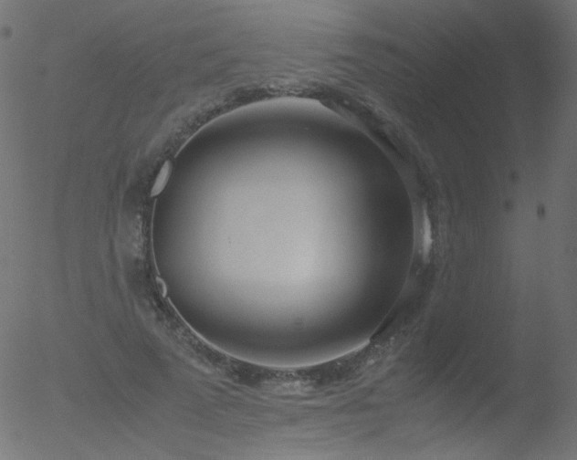 X0000052550689200507011131